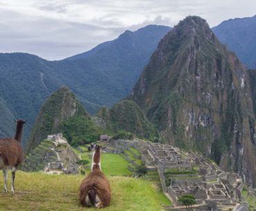 a Peru con mis panama jack portada