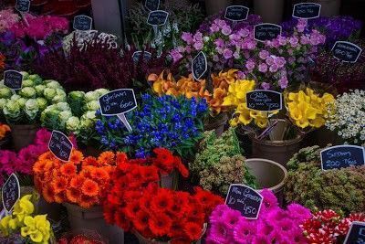 Bloemenmarkt o mercado de las flores