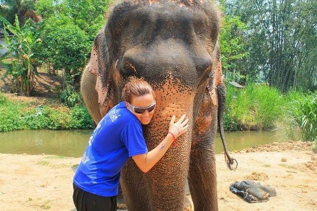 baño con los elefantes chiang mai 2