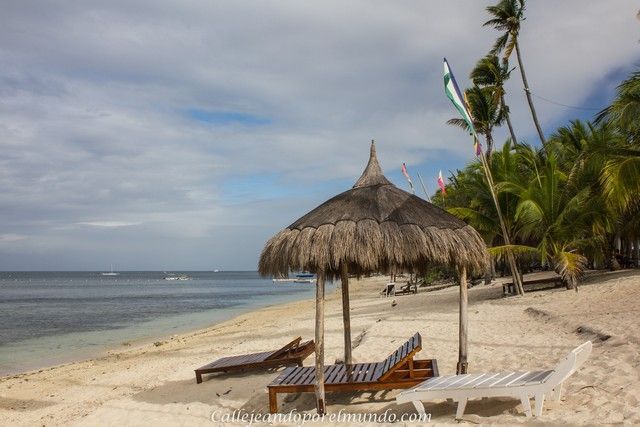 playa siquijor coco grove filipinas