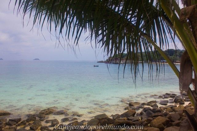 camino a rainforest beach perhentian kecil malasia