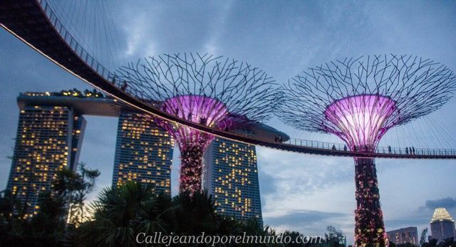 singapur-en-24-horas-gardens-by-the-bay-nocturno-2