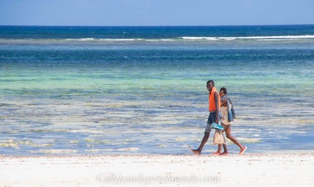 beach boys playa the sands at chale island diani beach kenia