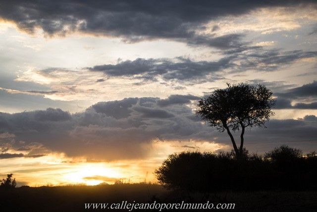 puesta de sol masai mara kenia (3)