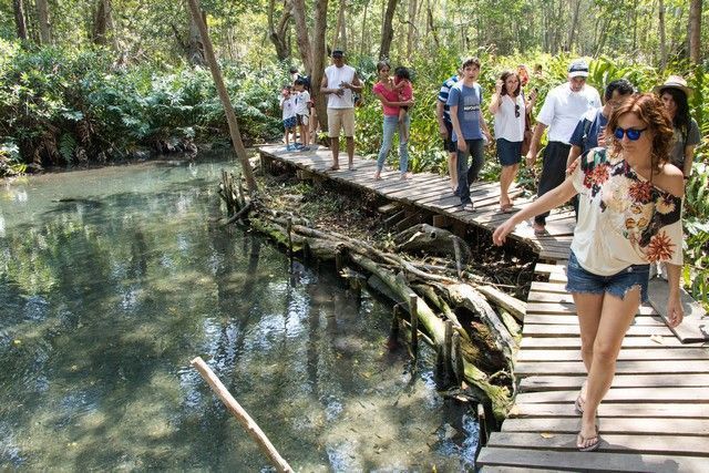 reserva biosfera ria celestún yucatan mexico (13)