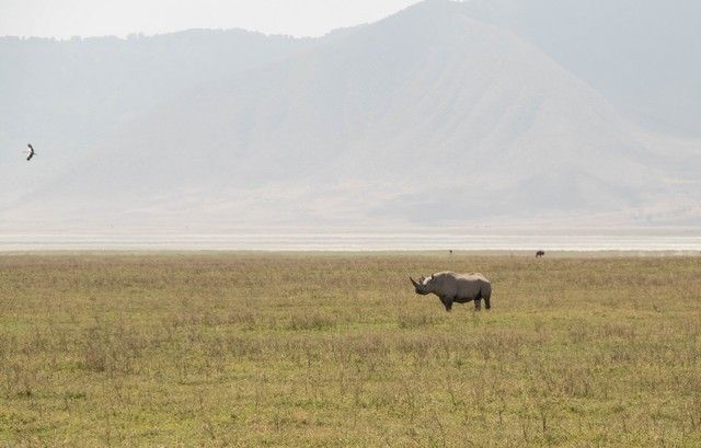 area de conservacion del ngorongoro tanzania (10)