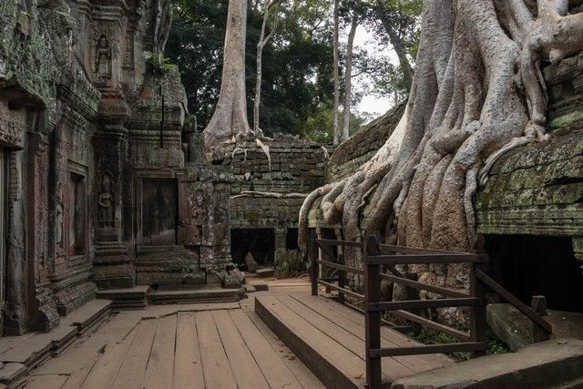 ta prohm tour corto por los templos de angkor camboya (15)