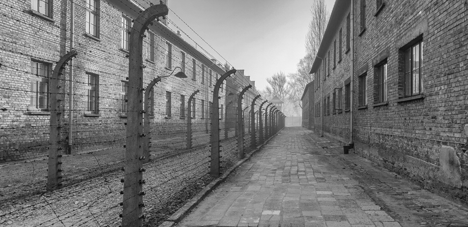 Auschwitz-Birkenau-9