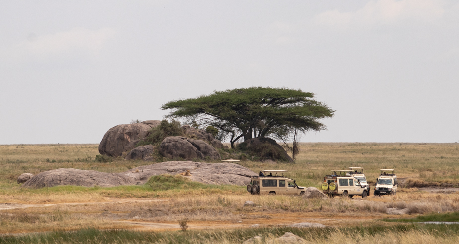 serengeti-central-seronera-safari-41