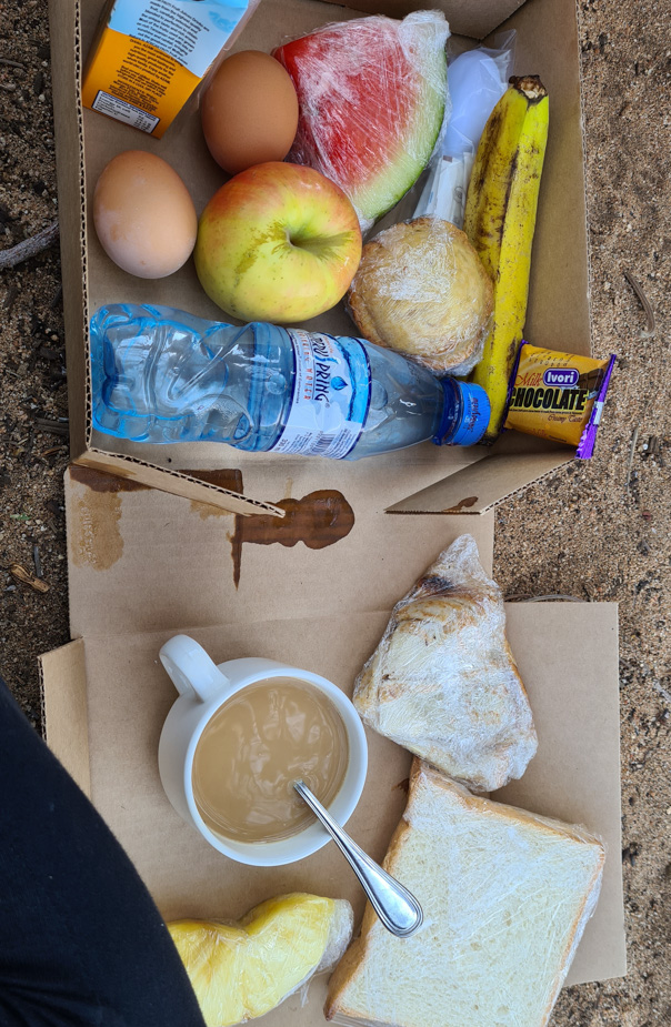 desayuno bajo el baobab 1