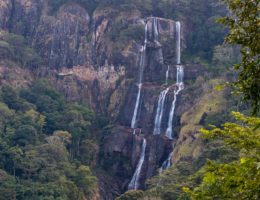 Udzungwa National Park (Saje Falls)