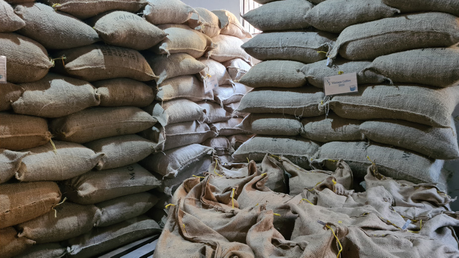 utengule coffee farm mbeya tanzania (13)