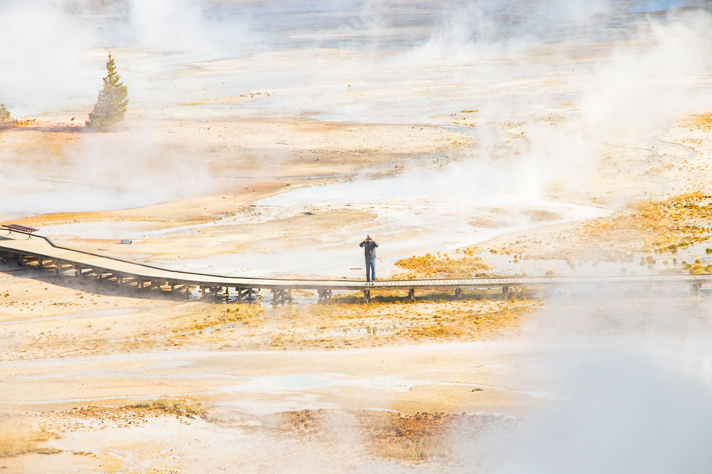 norris geyser basin yellowsonte national park (1)