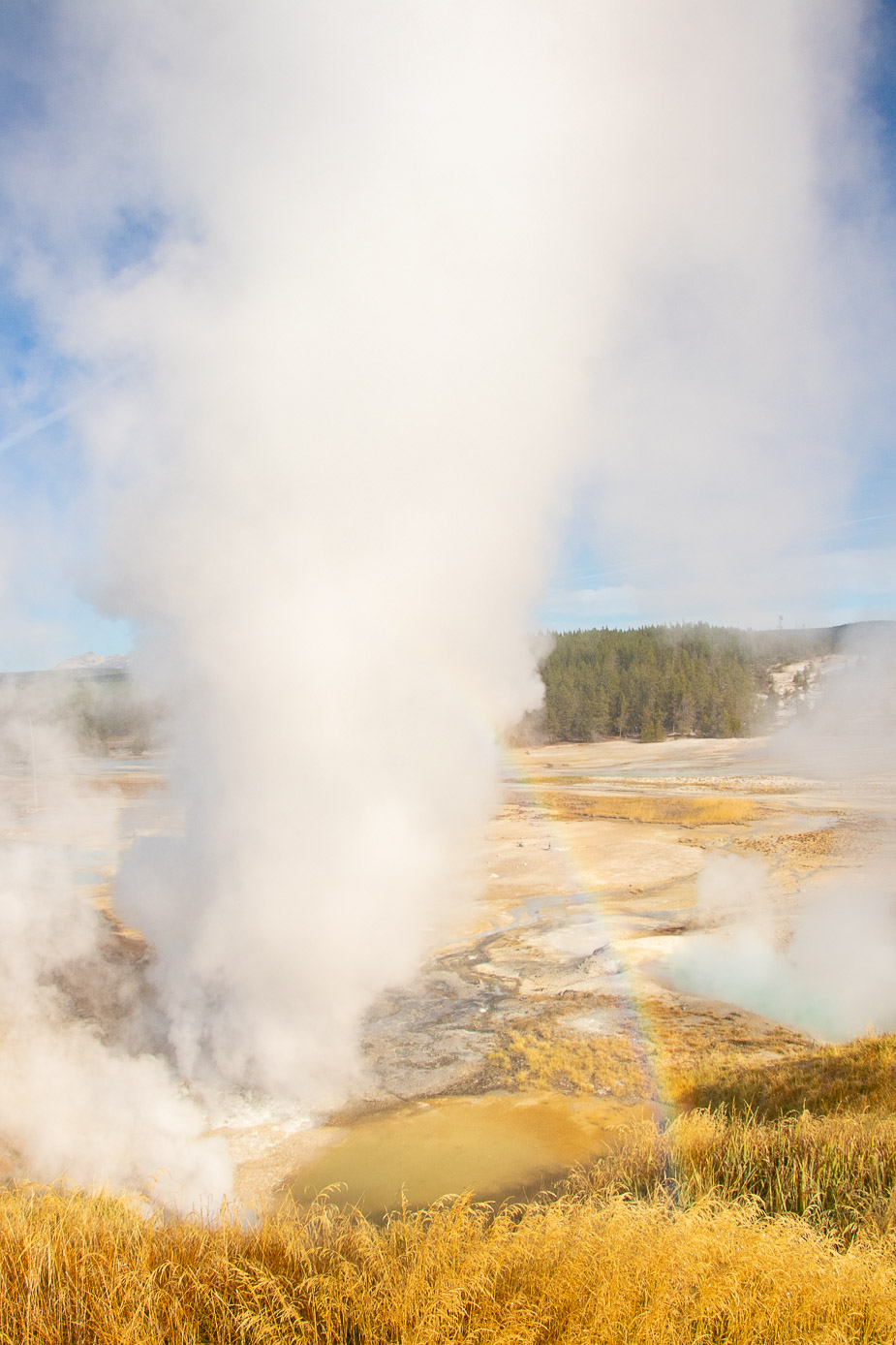 norris geyser basin yellowsonte national park (6)