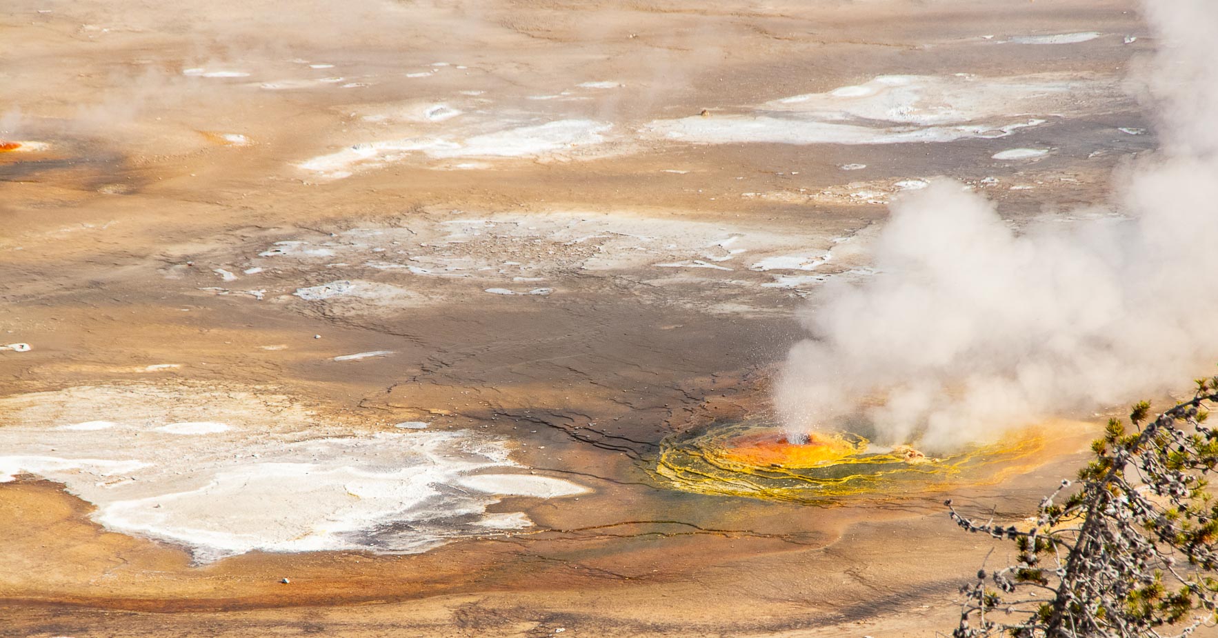 norris geyser basin yellowsonte national park (9)
