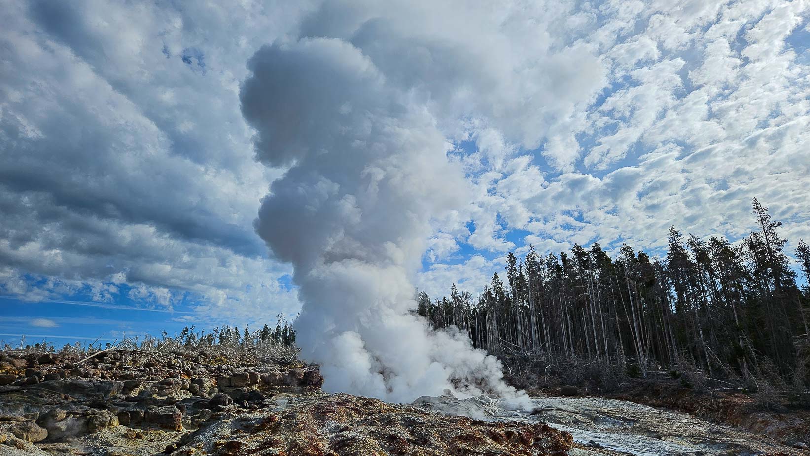 norris geyser basin yellowstone national park (6)