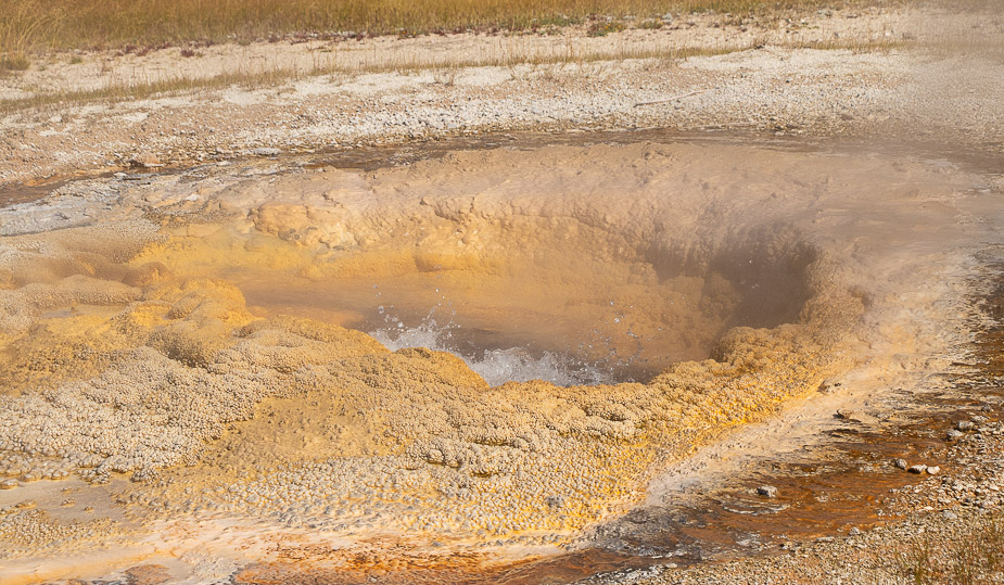 upper geyser basin yellowstone (1)