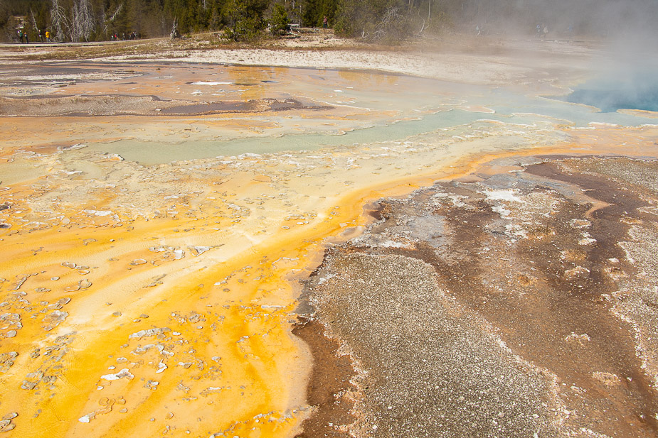 upper geyser basin yellowstone (4)