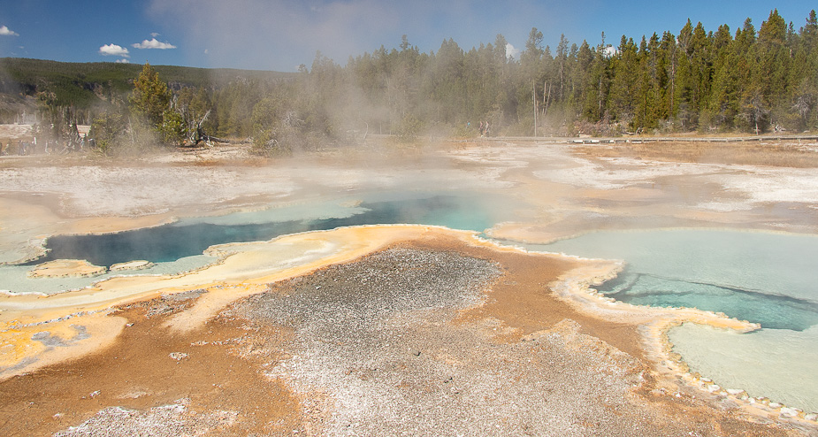 upper geyser basin yellowstone (6)