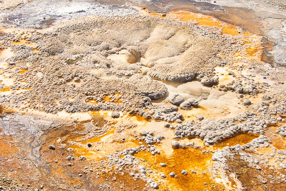 upper geyser basin yellowstone (8)